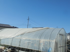 2024102411.JPG