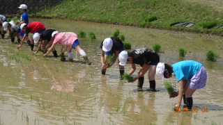 20190604taue2.JPG