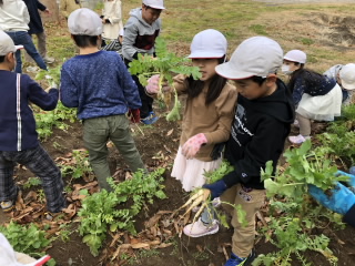 20191220daikon1.JPG