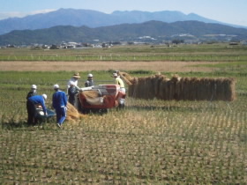 PA210130.JPG