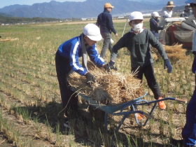PA210137.JPG