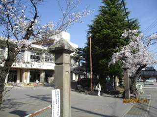 校門と桜.JPG