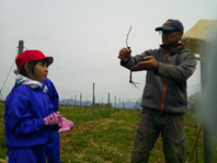 20250509-4.wine1.png