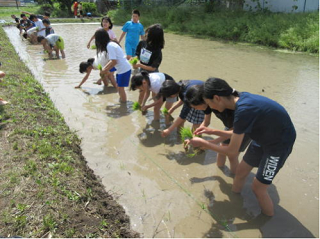 20250612-5.taue.png