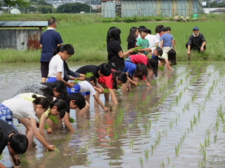 20190612taue001.JPG