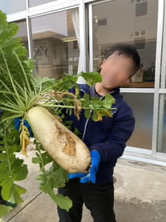 20201117daikon001.jpg