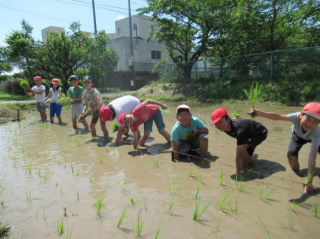 20210615taue001.jpg