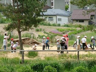100_0254.jpg
