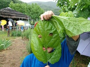 100_0426.jpg