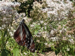 2024-09-26(20).jpg