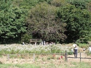 2024-09-26(7).jpg