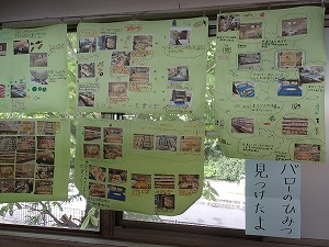 2024-10-09(13).jpg