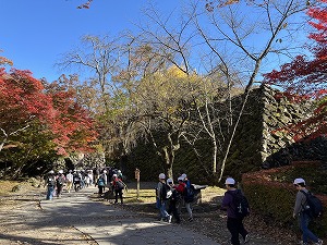 2024-11-11-13-10(1).jpg