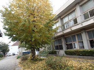 2024-11-22-13-29(1).jpg