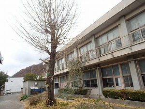 2024-12-06-11-30(1).jpg