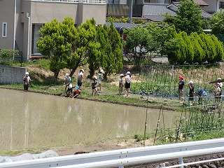 20240612(2).jpg