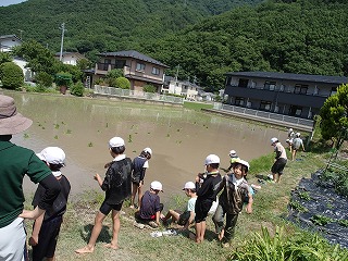20240612(7).jpg