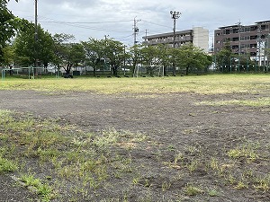 202408280753(1).jpg
