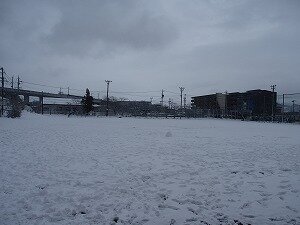 2025-03-03-14-36.jpg