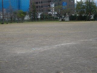 DSC00702.jpg