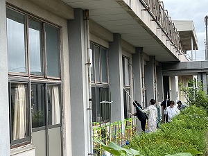 IMG_9848.jpg