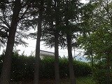 DSC00555.jpg