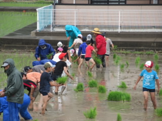 20190607taue2.JPG