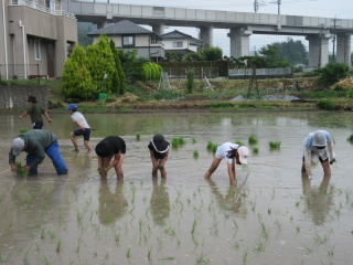 20190607taue3.JPG