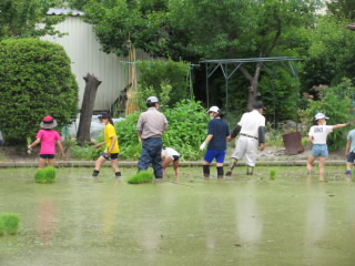 20200611taue1.JPG