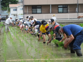 20200611taue2.JPG