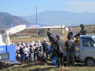 20201125daizu2.JPG