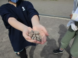 20210512_isihiroi01.JPG