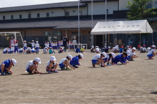 20190515isihiroi001.JPG