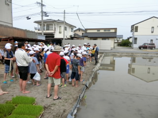 20190604taue001.JPG