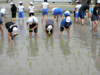 20190604taue003.JPG