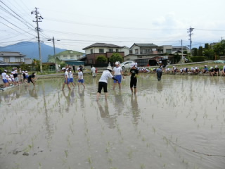 20190604taue004.JPG