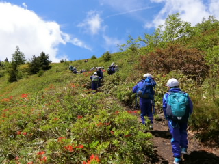 20190627kougengakusyuu001.JPG