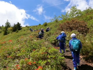 20190627kougengakusyuu001.JPG