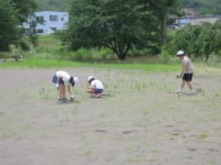 20200702suwagata001.JPG