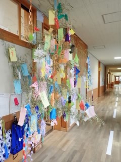 202007tanabata.jpg