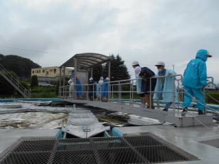 20210709mizu003.JPG
