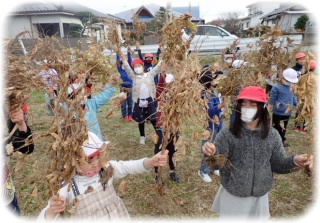 20211203daizu001.jpg