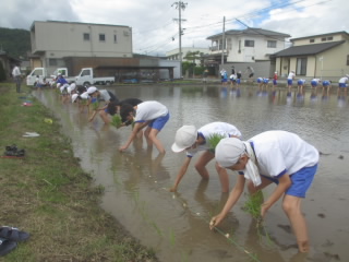 20220608taue002.JPG