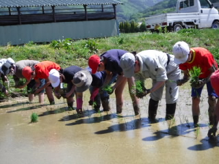 20190520taue001.JPG