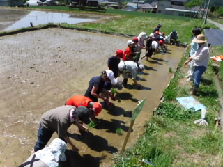 20190520taue002.JPG