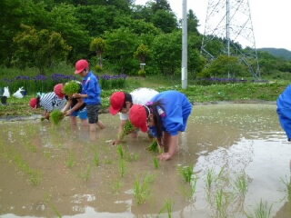 202505taue02.jpg