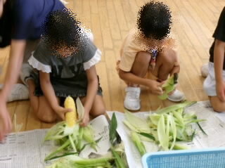 202508corn01.jpg