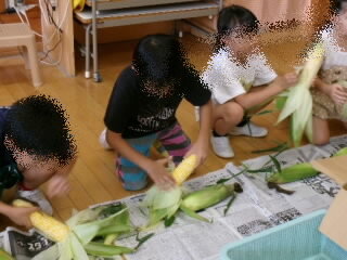 202508corn02.jpg