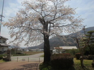 IMG_0058.JPG