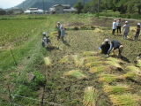 IMG_0957.JPG